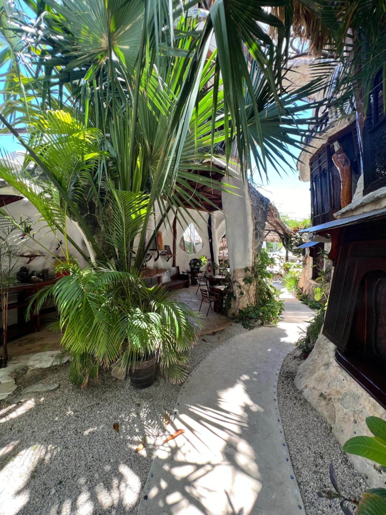 La Quinta Orquidea Bed & Breakfast Puerto Morelos Exterior foto