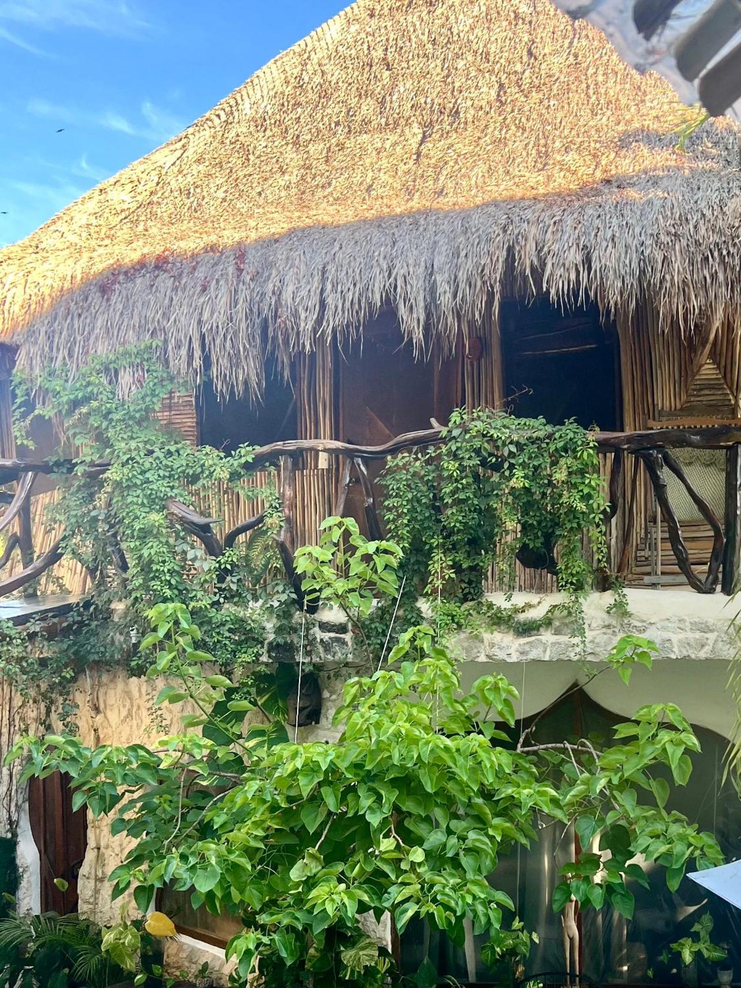 La Quinta Orquidea Bed & Breakfast Puerto Morelos Exterior foto