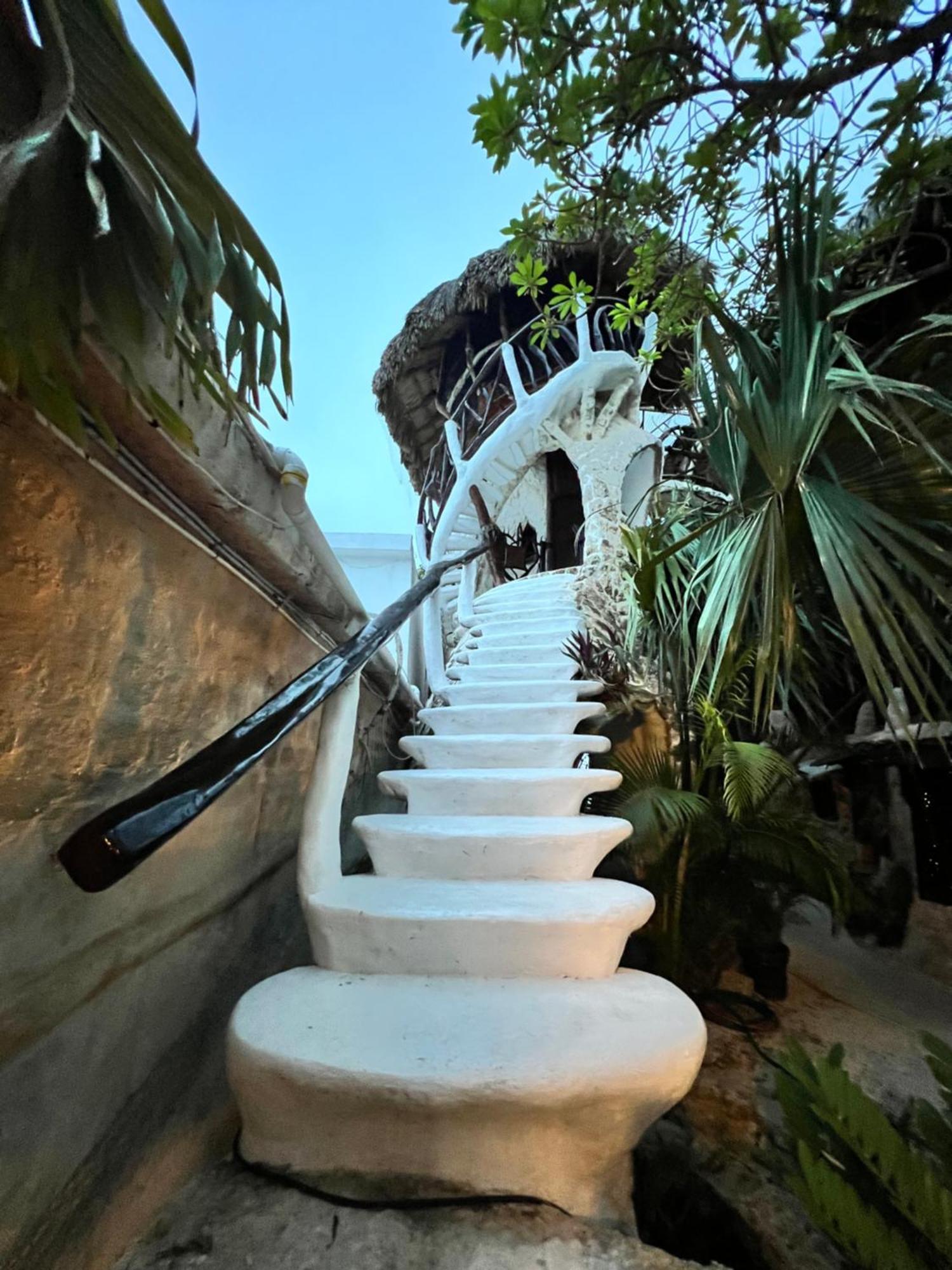 La Quinta Orquidea Bed & Breakfast Puerto Morelos Exterior foto
