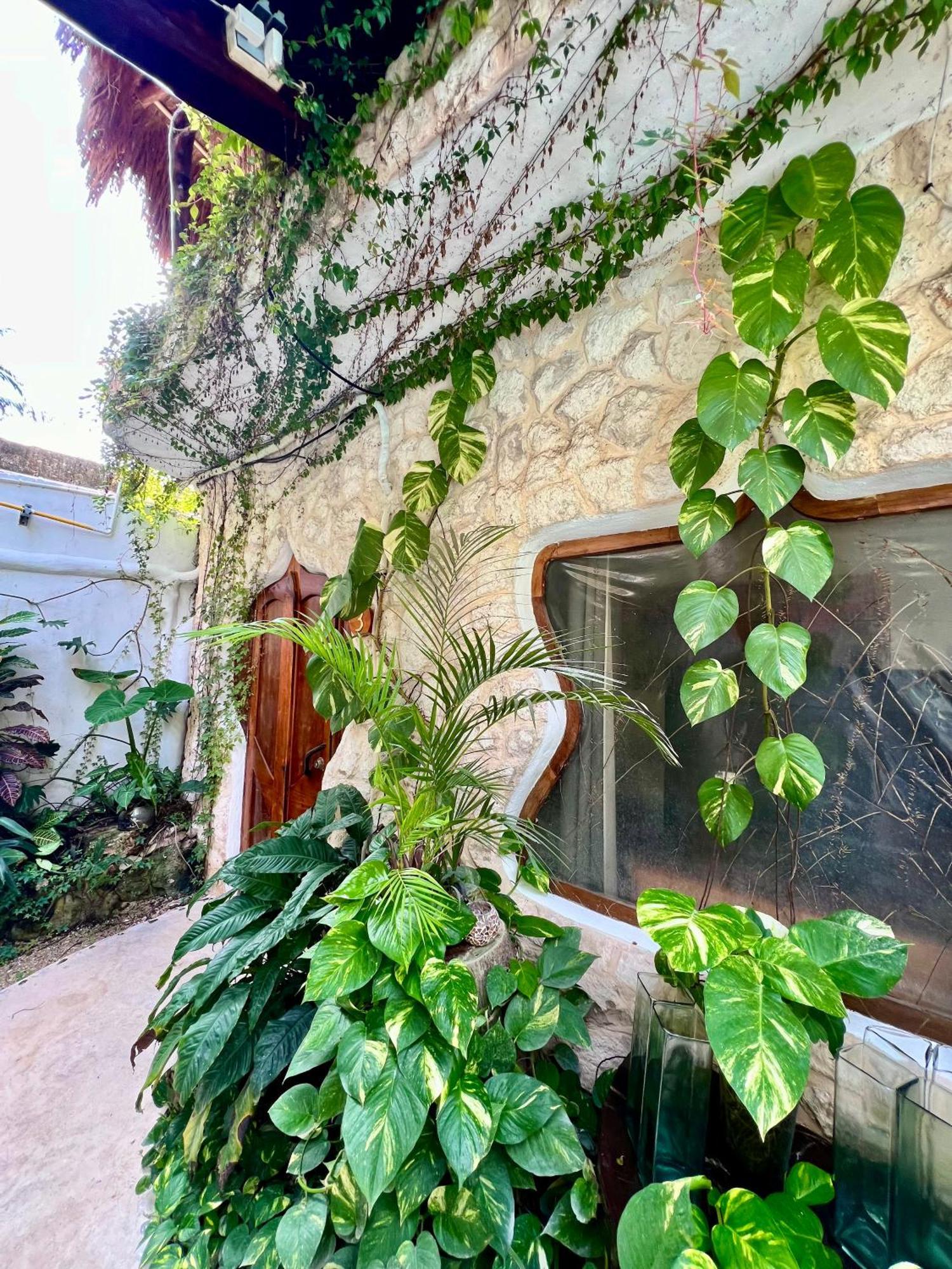 La Quinta Orquidea Bed & Breakfast Puerto Morelos Exterior foto