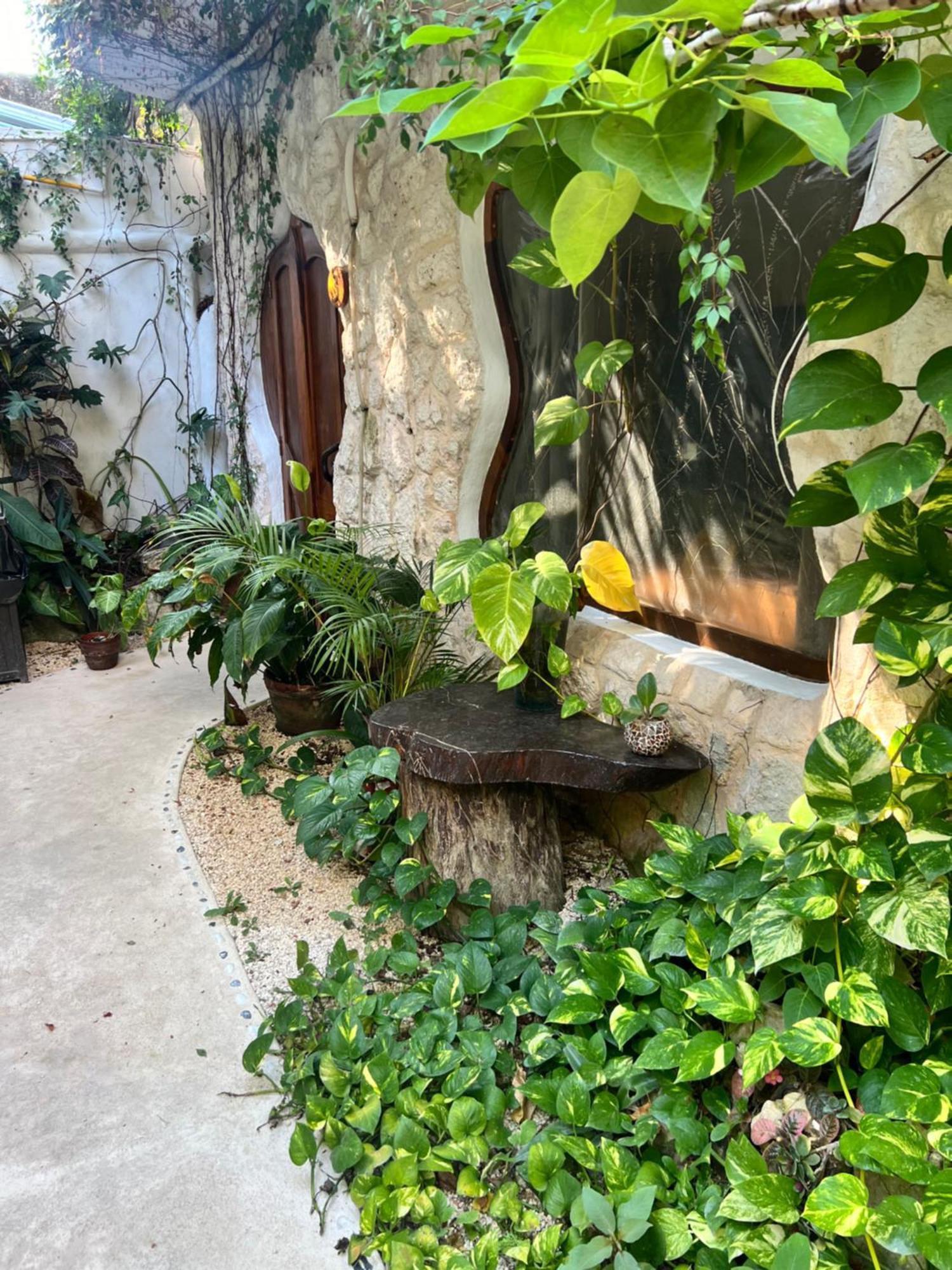 La Quinta Orquidea Bed & Breakfast Puerto Morelos Exterior foto